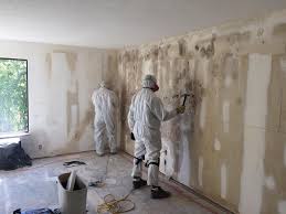 Best Residential Mold Inspection & Testing in Penbrook, PA